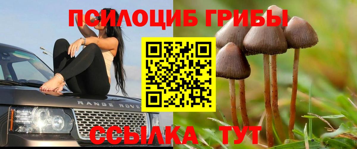 Галлюциногенные грибы мицелий  Вход с VPN  Усть-Джегута 
