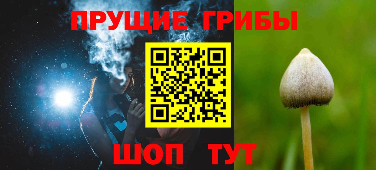 Псилоцибиновые грибы прущие грибы Усть-Джегута